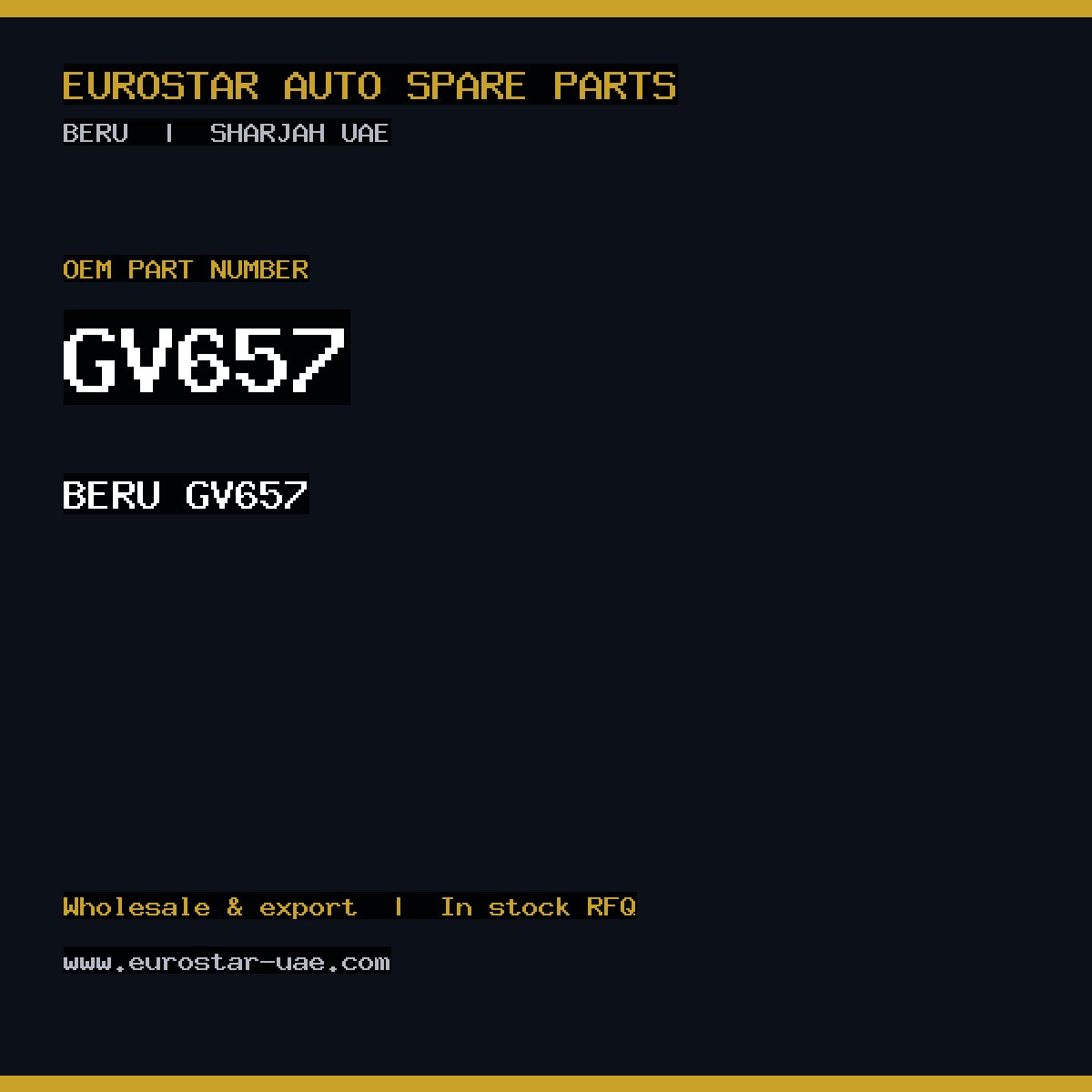 BERU GV657