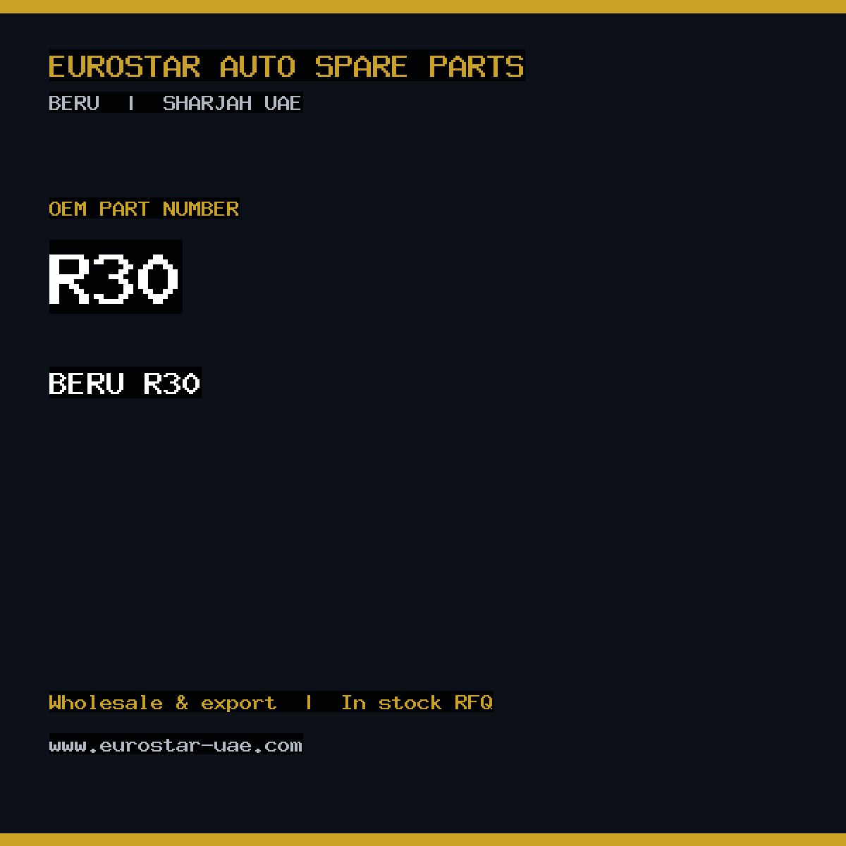 BERU R30